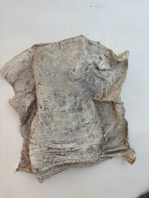 טורסו דמות האישה